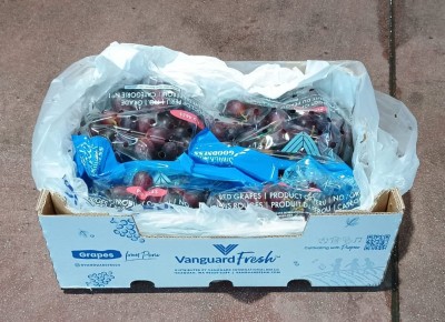 Foto Uva Rossa Varietà Sweet Celebrat Calibro J Origine Peru Marchio Vanguard 1